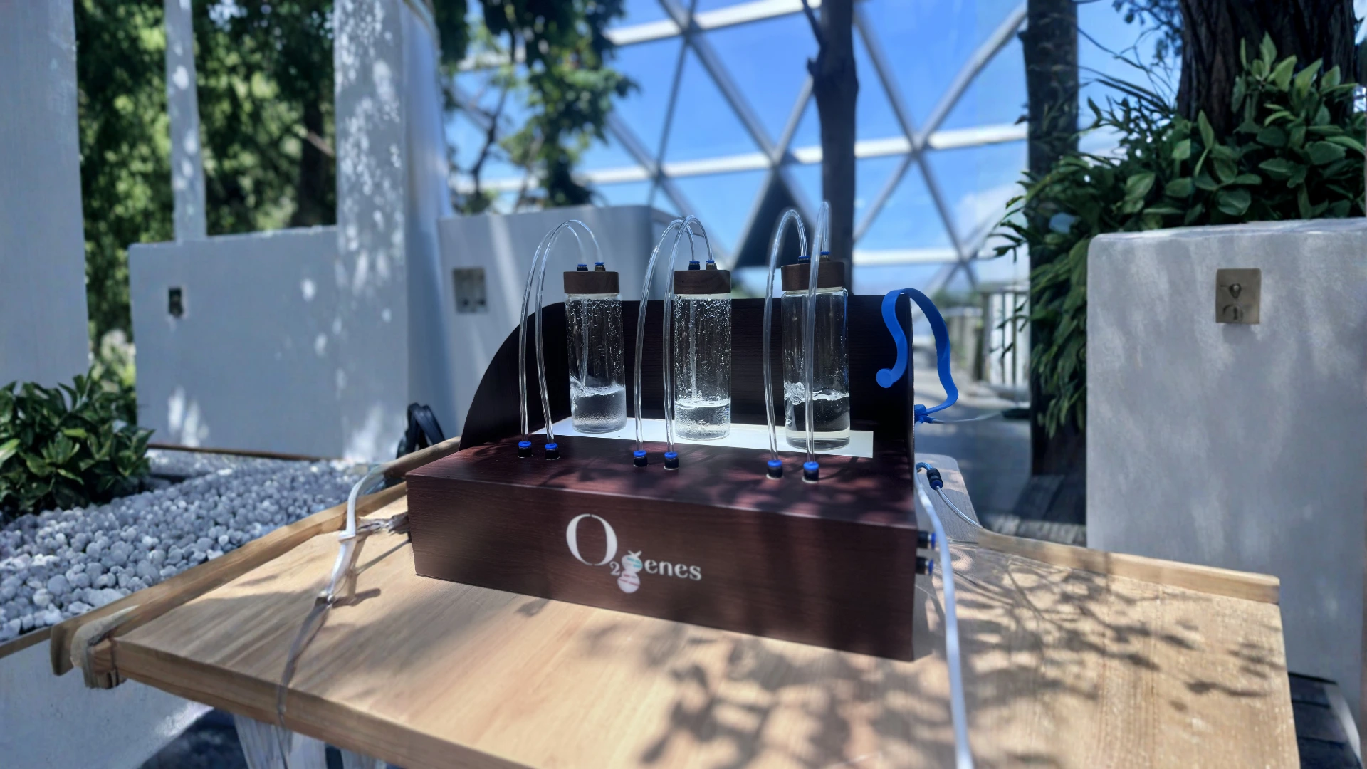 O2genes Oxygen Bar setup at Converge Live
